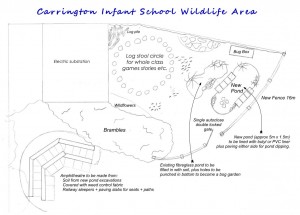 Carrington Infant School wildlife area