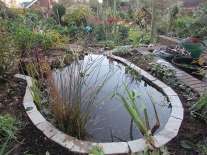 Wildlife Pond Wildlife Pond